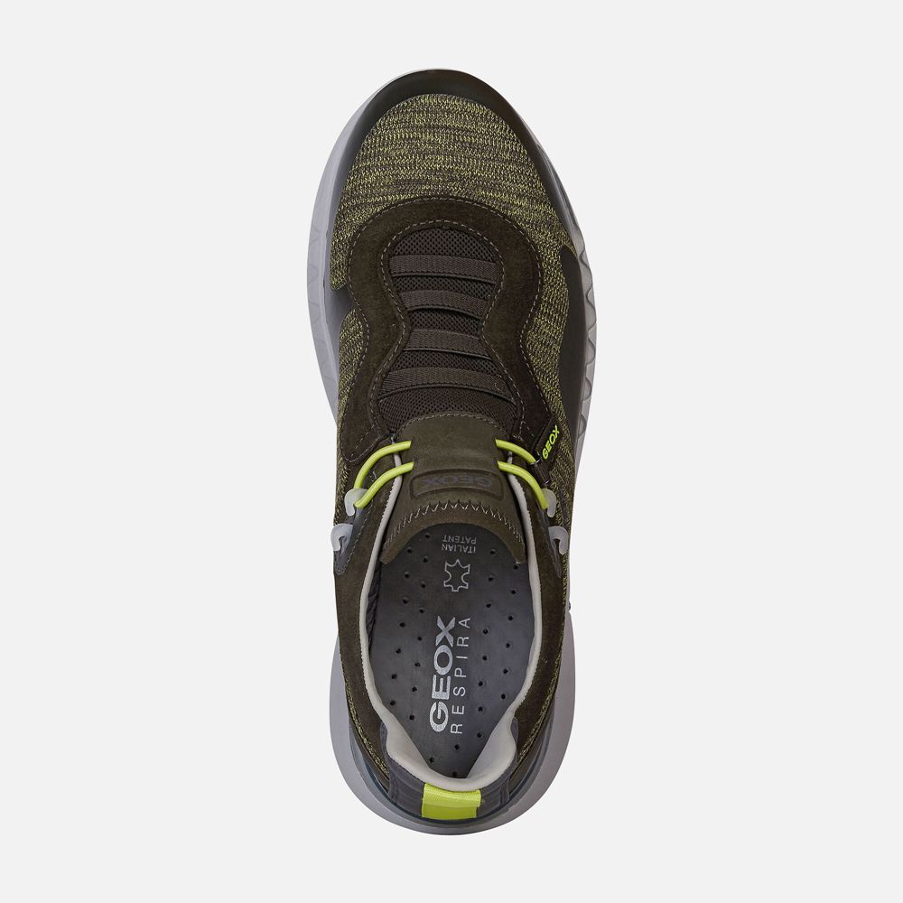 Tenis Geox Homem Verde Oliva - Levita - QCEGJ3580